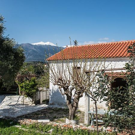 Traditional House Alikampos Dış mekan fotoğraf